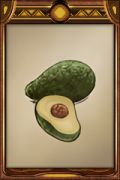 Avocado