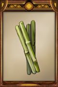 Sugar Cane